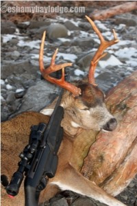 Deer Hunting Alaska's Prince William Sound